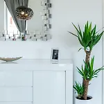 Vista Deluxe